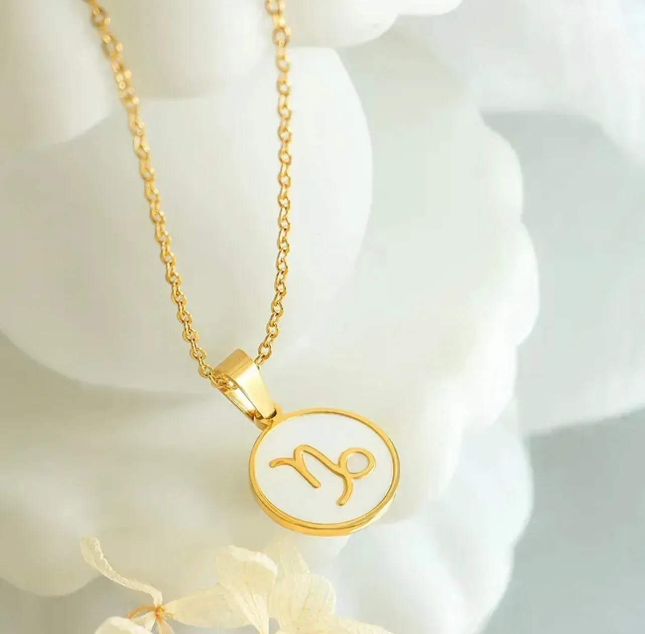 Zodiac Sign Necklace